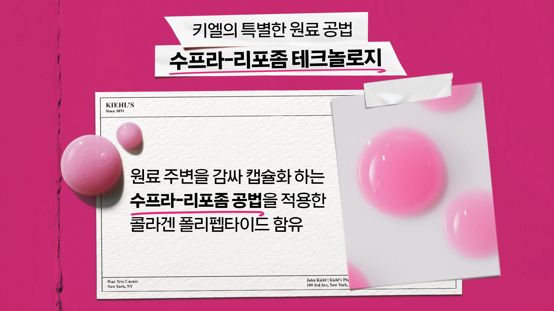 핑크세럼 PDP